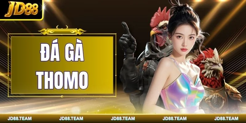 Đá Gà Thomo | Siêu Phẩm Chọi Kê Trực Tuyến Hot Nhất 2026